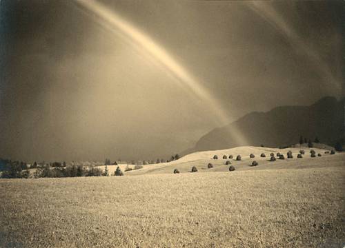 Aus der Ausstellung "Lichtbildnerin des Piktorialismus". Foto: Leni Werres